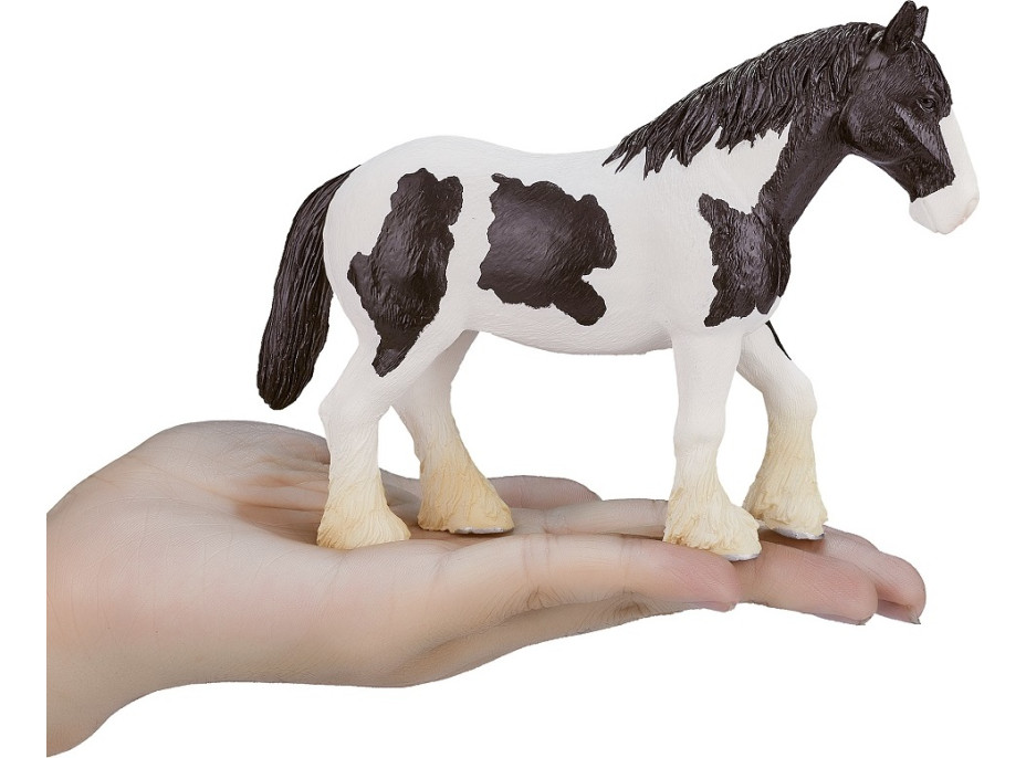 Mojo Clydesdale kôň čiernobiely