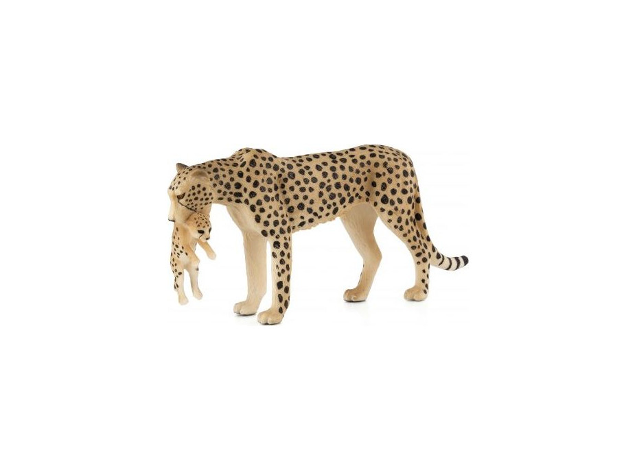 Mojo Gepard s mláďaťom