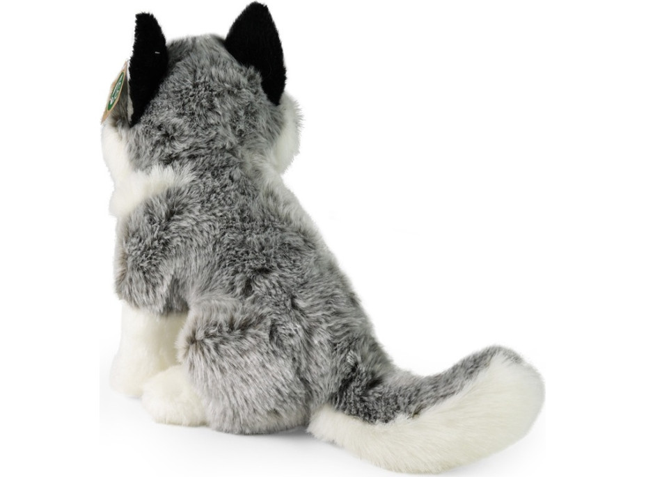 Rappa Plyšový pes Husky sediaci 30 cm ECO-FRIENDLY