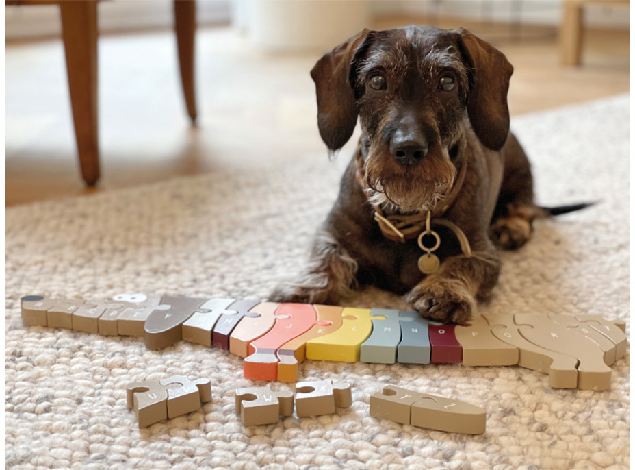 small foot Puzzle písmená Jazvečík