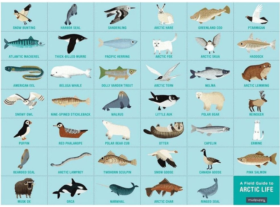 Mudpuppy Puzzle skladaj a hľadaj Život v Arktíde 64 dielov