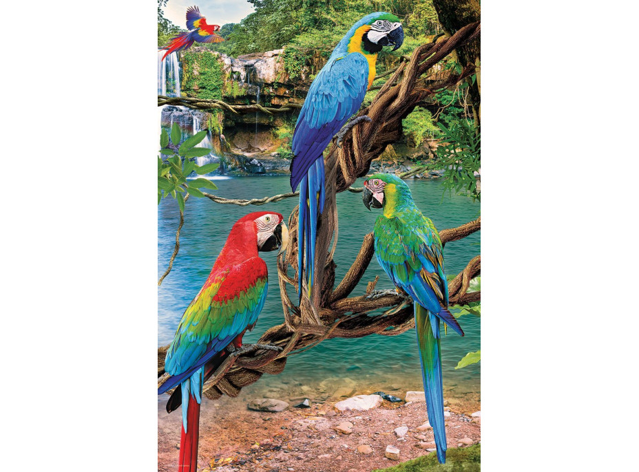 EUROGRAPHICS Puzzle Save Our Planet: Papagáje Ara XL 250 dielikov