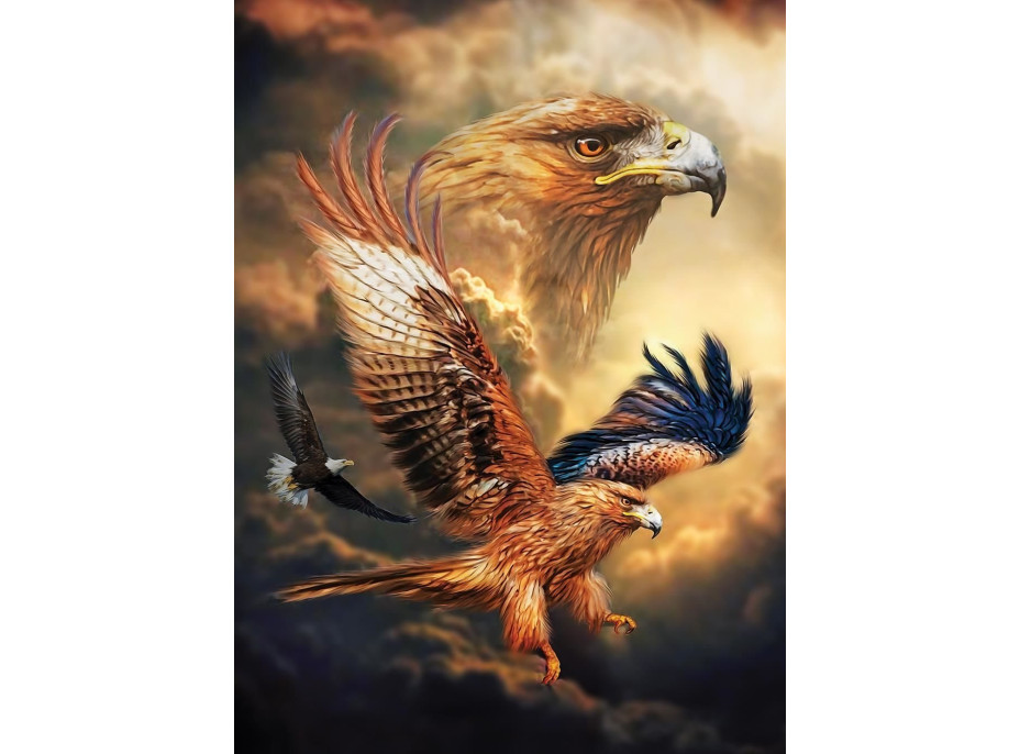 ART PUZZLE Puzzle Orol 1000 dielikov