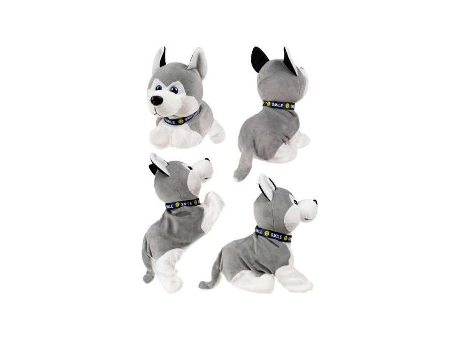 Interaktívny pes Husky