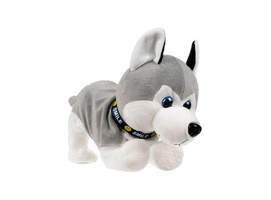 Interaktívny pes Husky