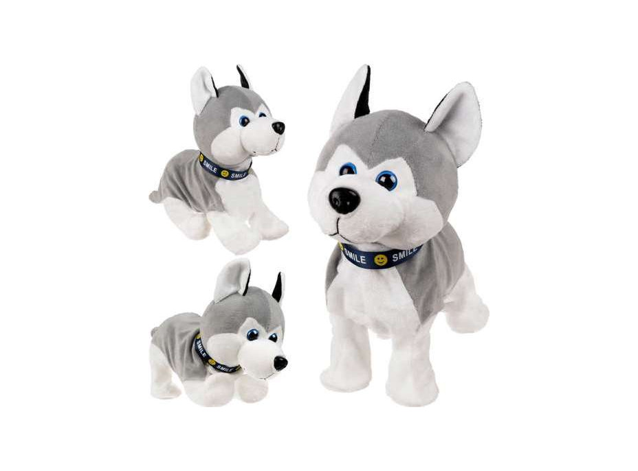 Interaktívny pes Husky
