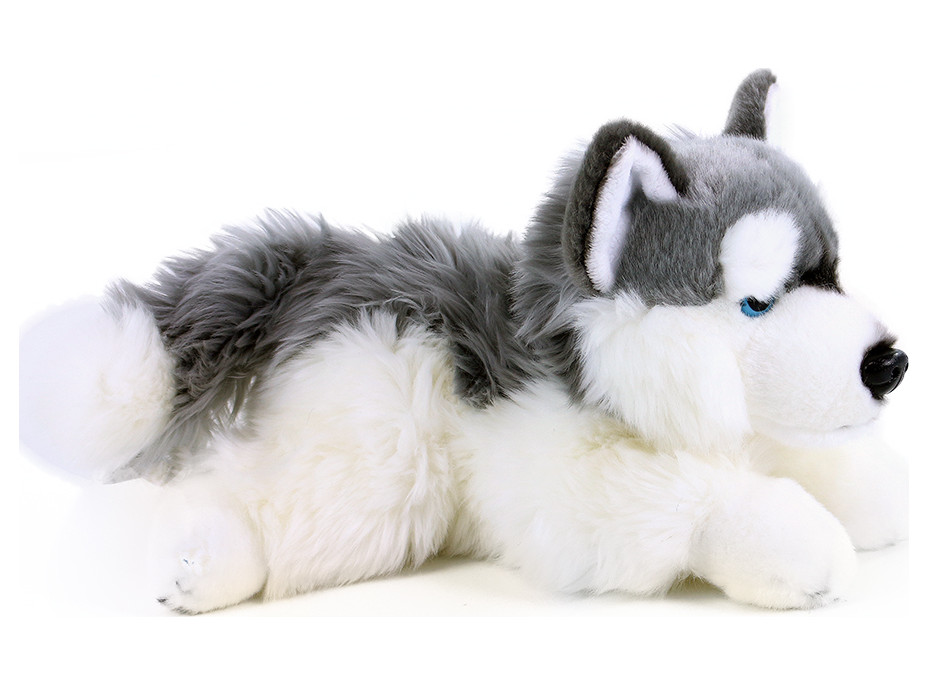 Rappa Plyšový pes husky ležiaci 30 cm