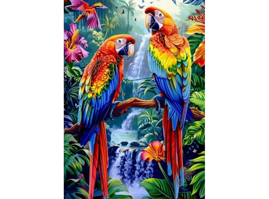 NORIMPEX Diamantové maľovanie Papagáje pri vodopáde 30x40cm
