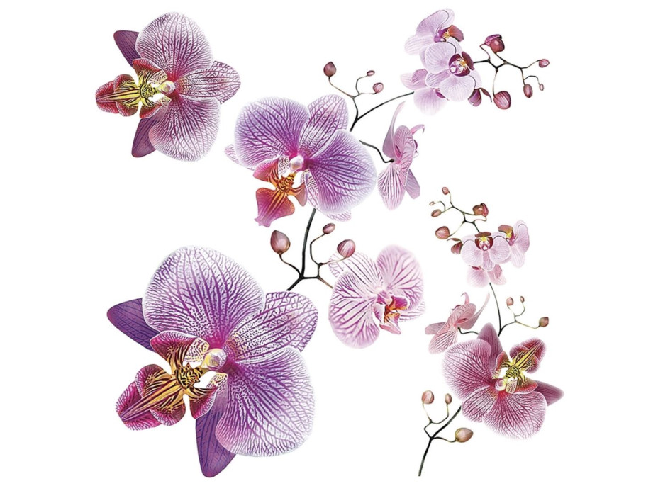 Moderná samolepka na stenu - Orchidey - 30x30 cm