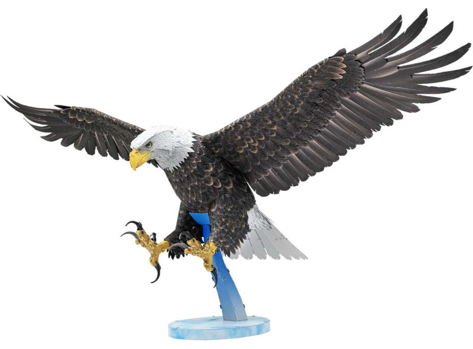 METAL EARTH 3D puzzle Premium Series: Orol bielohlavý
