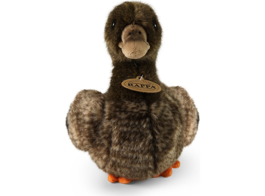 Rappa Plyšová kačica 23 cm ECO-FRIENDLY