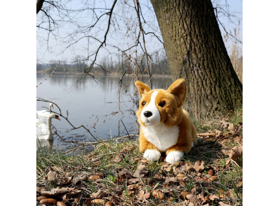 Rappa Plyšový pes Corgi 32 cm ECO-FRIENDLY