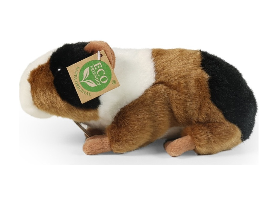 Rappa Plyšové morča 22 cm ECO-FRIENDLY