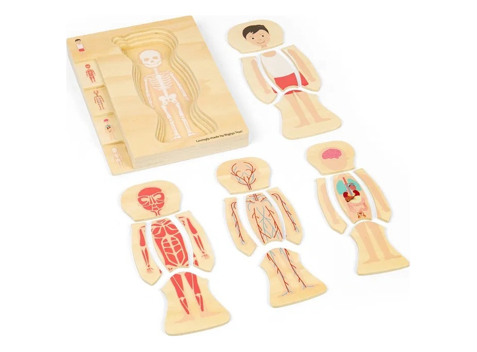 Bigjigs Toys Drevené puzzle Anatómia chlapec