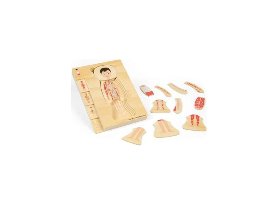 Bigjigs Toys Drevené puzzle Anatómia chlapec