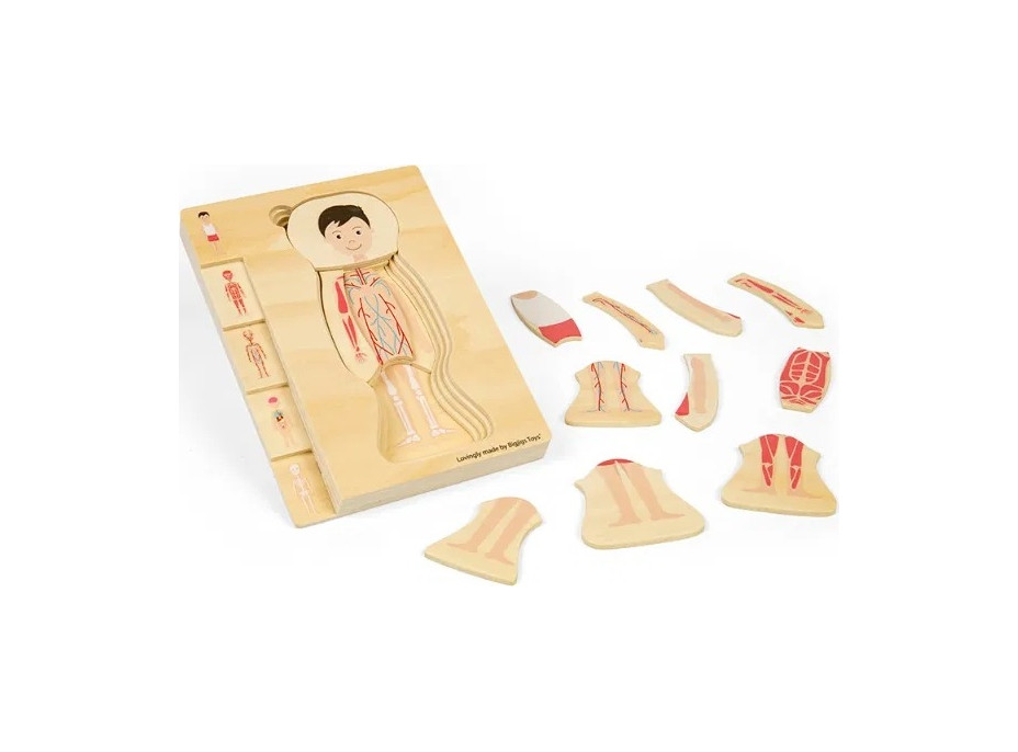 Bigjigs Toys Drevené puzzle Anatómia chlapec