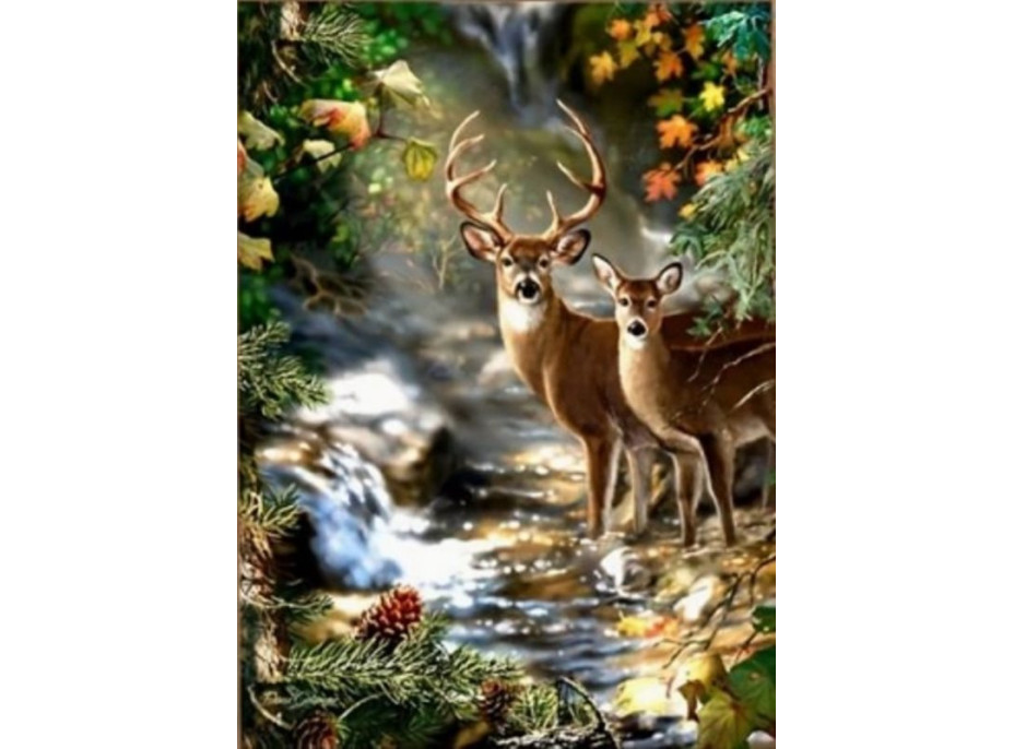 NORIMPEX Diamantové maľovanie Jeleň a srnka pri lesnom potoku 30x40cm