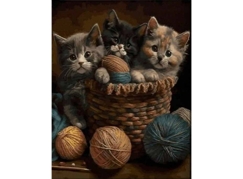 NORIMPEX Diamantové maľovanie Mačiatka v košíku 30x40cm