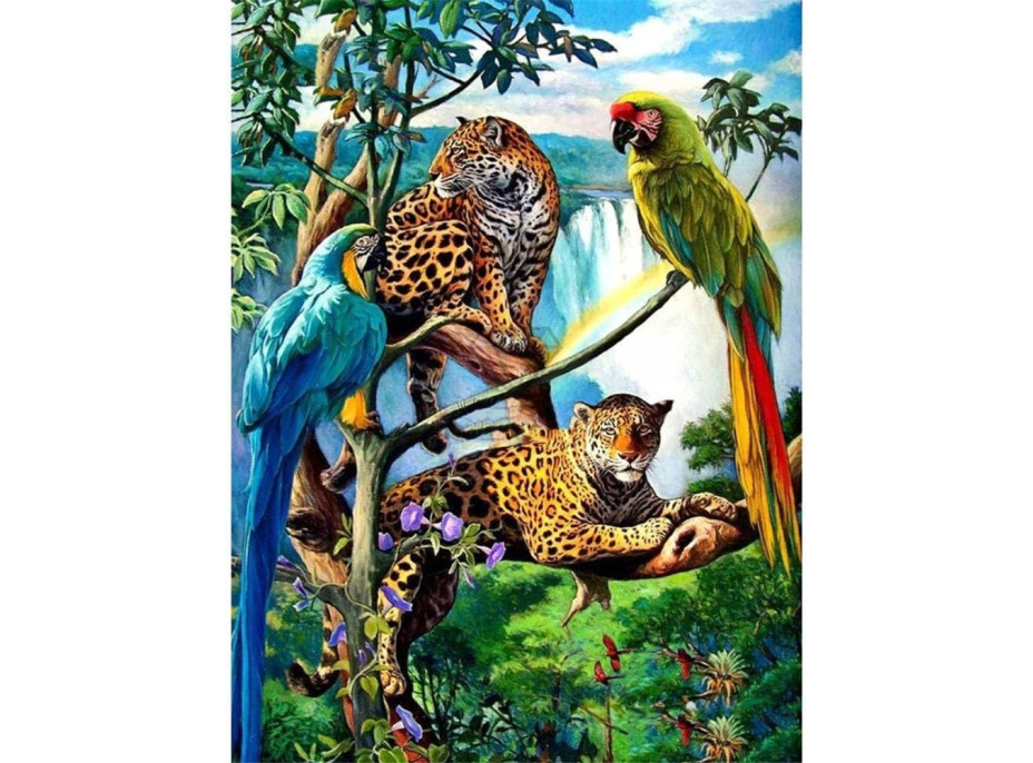 NORIMPEX Diamantové maľovanie Papagáje a leopardy 30x40cm