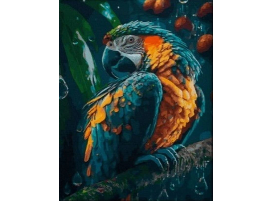 NORIMPEX Diamantové maľovanie Papagáj 30x40cm