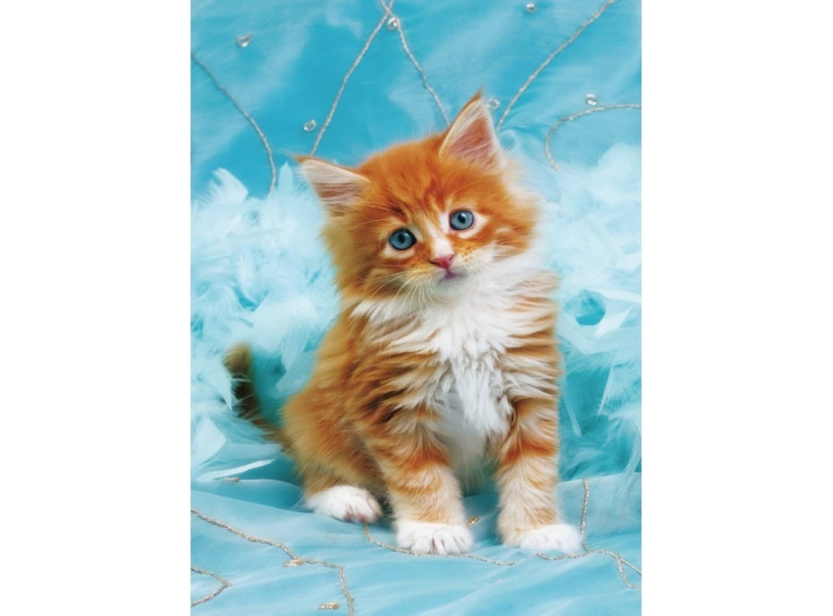 NORIMPEX Diamantové maľovanie Ryšavé mačiatko na modrom pozadí 30x40cm