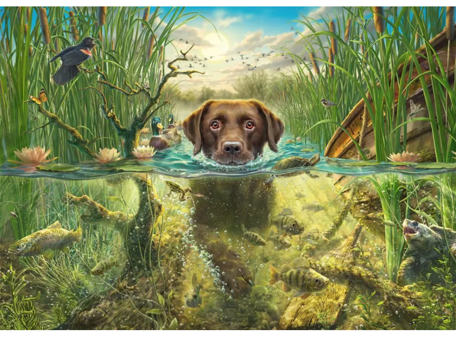 SCHMIDT Puzzle Čokoládový labrador 1000 dielikov
