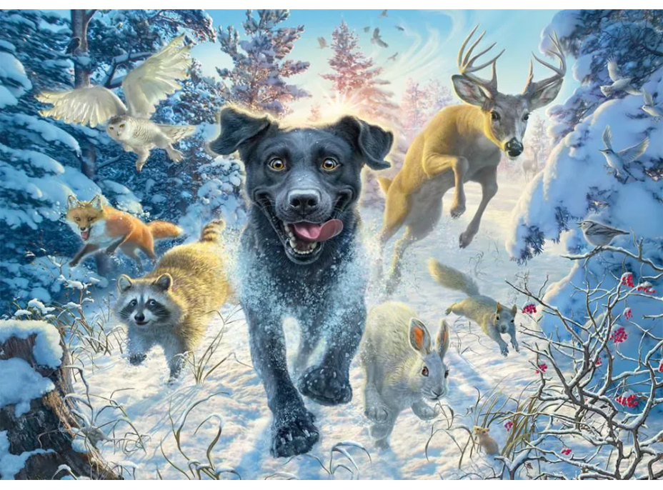 SCHMIDT Puzzle Labrador v snehu 1000 dielikov