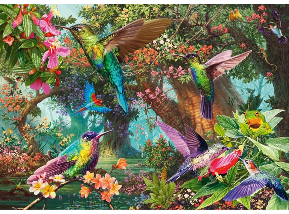 SCHMIDT Puzzle Včelojedi 1000 dielikov