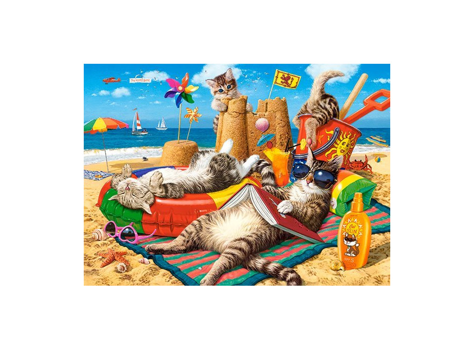 CASTORLAND Puzzle Letné vibrácie 300 dielikov