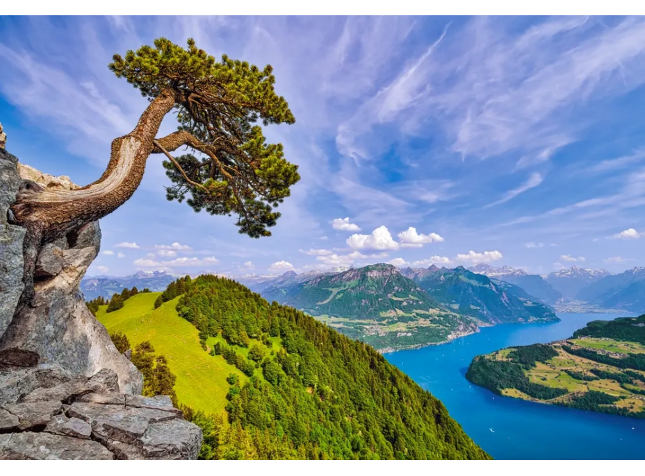 CASTORLAND Puzzle Pohľad na jazero Uri, Švajčiarsko 1000 dielikov