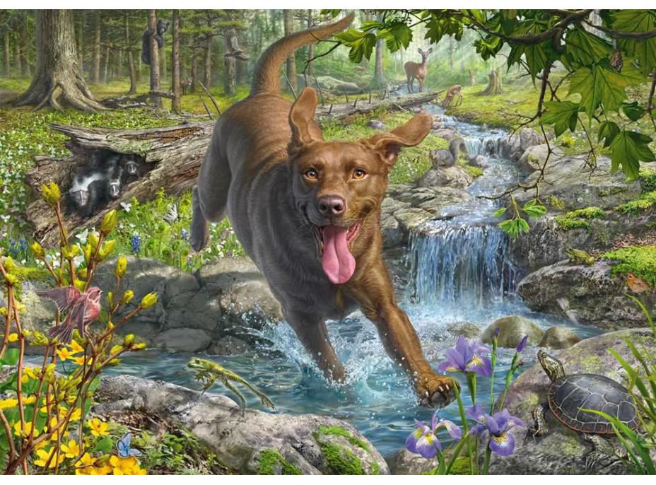 SCHMIDT Puzzle Retriever na jar 1000 dielikov