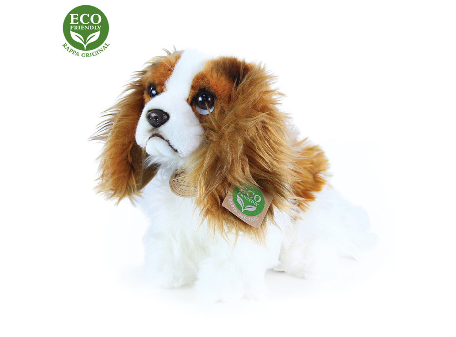 Rappa Plyšový pes King Charles španiel 25 cm