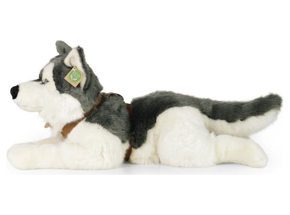 Rappa Plyšový pes husky s obojkom ležiaci 60 cm ECO-FRIENDLY