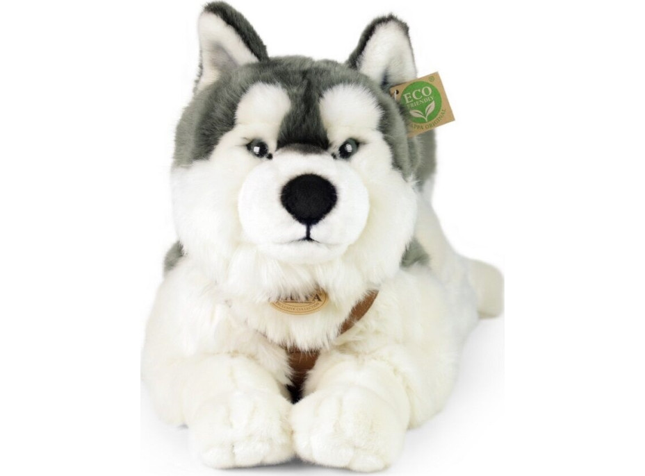 Rappa Plyšový pes husky s obojkom ležiaci 60 cm ECO-FRIENDLY