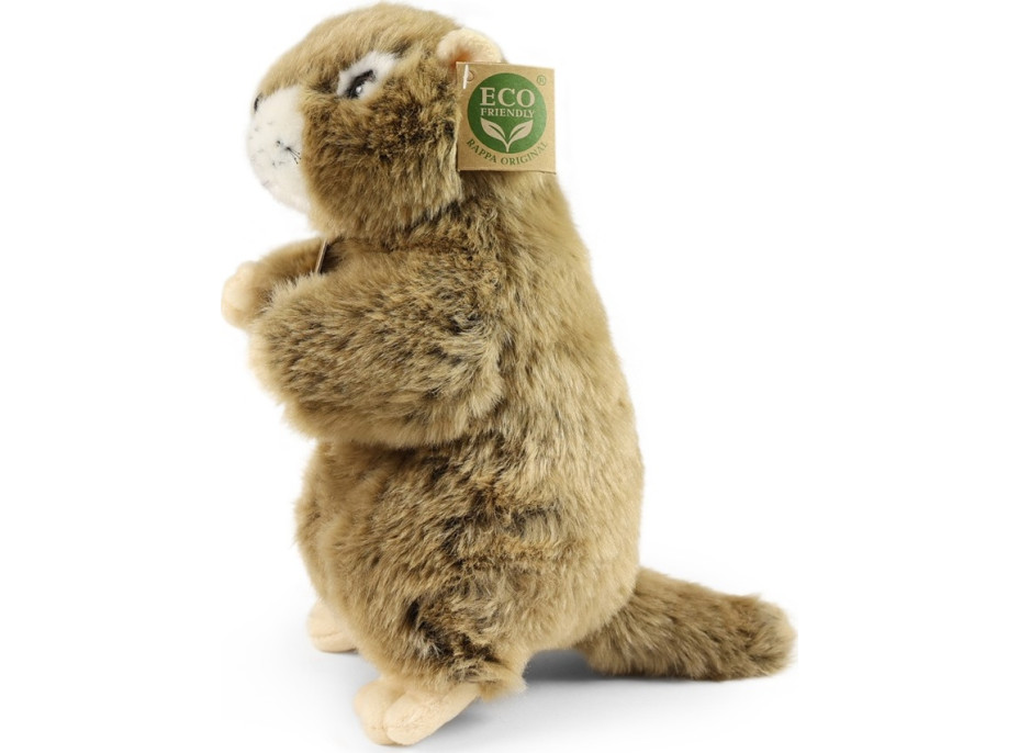 Rappa Plyšový svišť 23 cm ECO-FRIENDLY