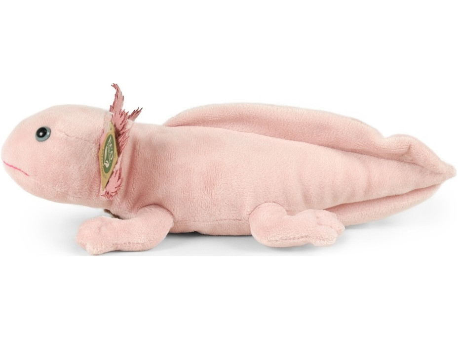Rappa Plyšový axolotol 33 cm ECO-FRIENDLY