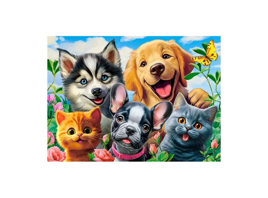 CASTORLAND Puzzle Zvieracie selfie 70 dielikov