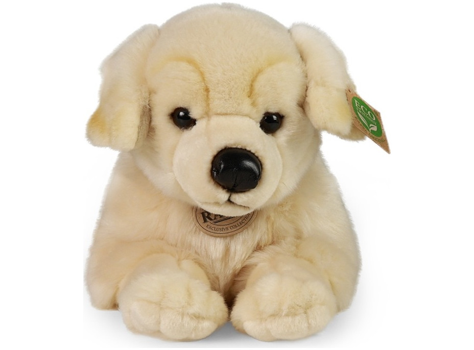 Rappa Plyšový pes zlatý retriever ležiaci 39 cm ECO-FRIENDLY