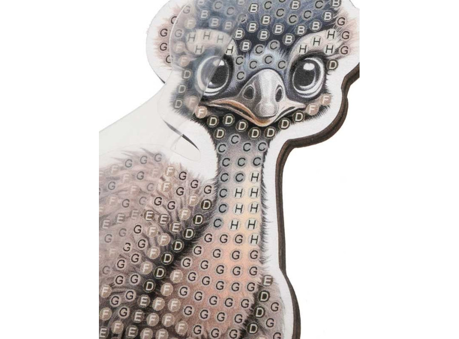 CRYSTAL ART Diamantové maľovanie Na zemi: Emu