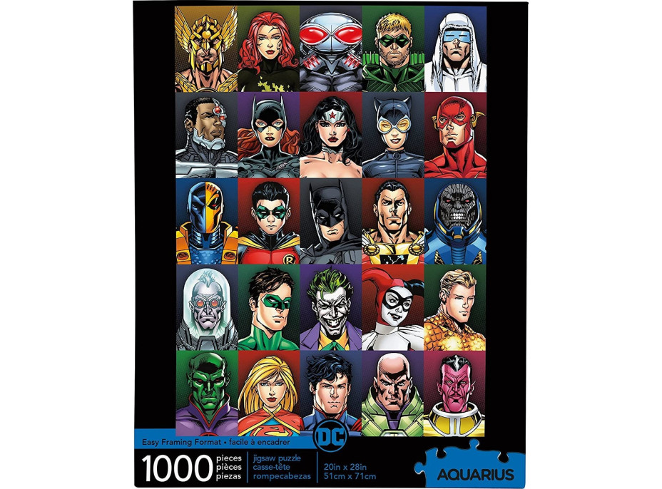 AQUARIUS Puzzle DC Comics 1000 dielikov