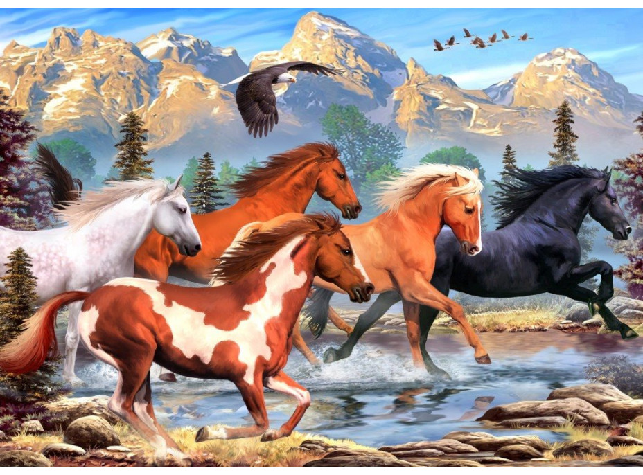 ALIPSON Puzzle Divokí a slobodní 500 dielikov