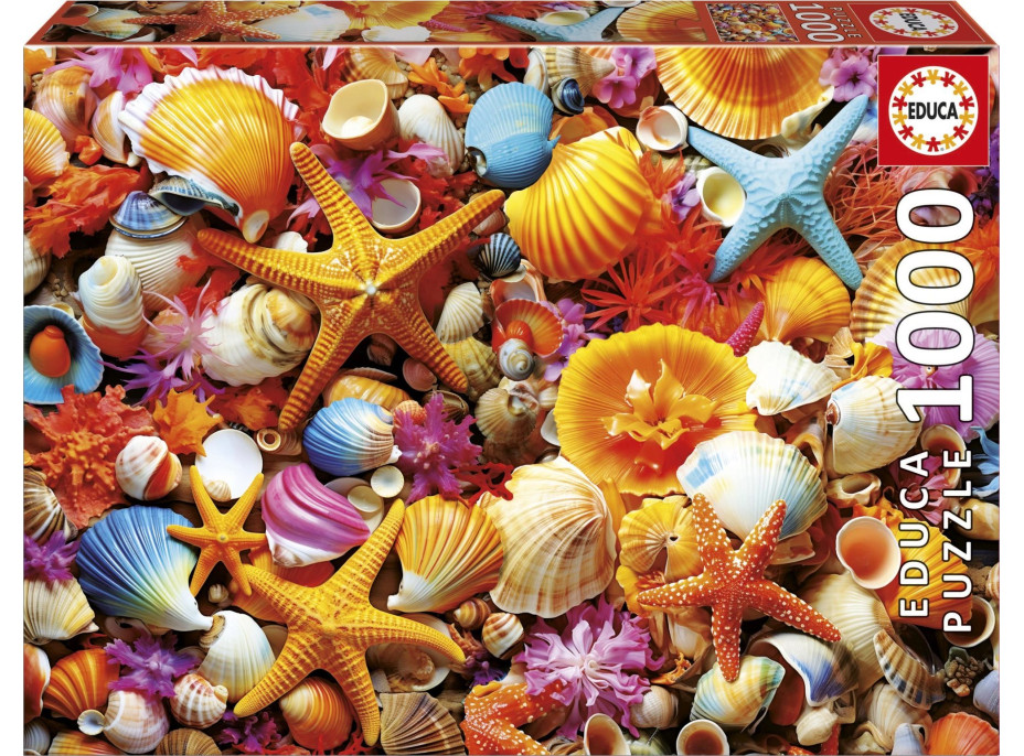 EDUCA Puzzle Mušle 1000 dielikov