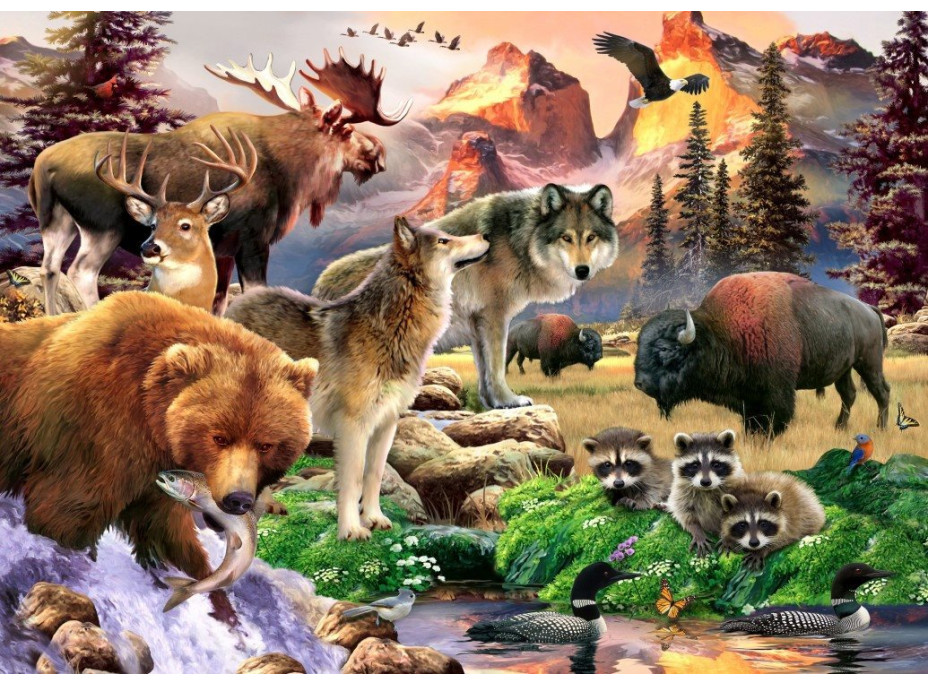 ALIPSON Puzzle Príroda 500 dielikov