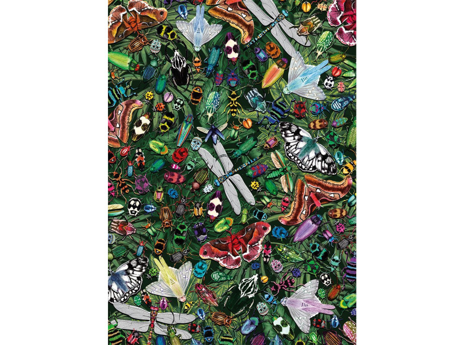 GIBSONS Puzzle Okrídlené zázraky 1000 dielikov