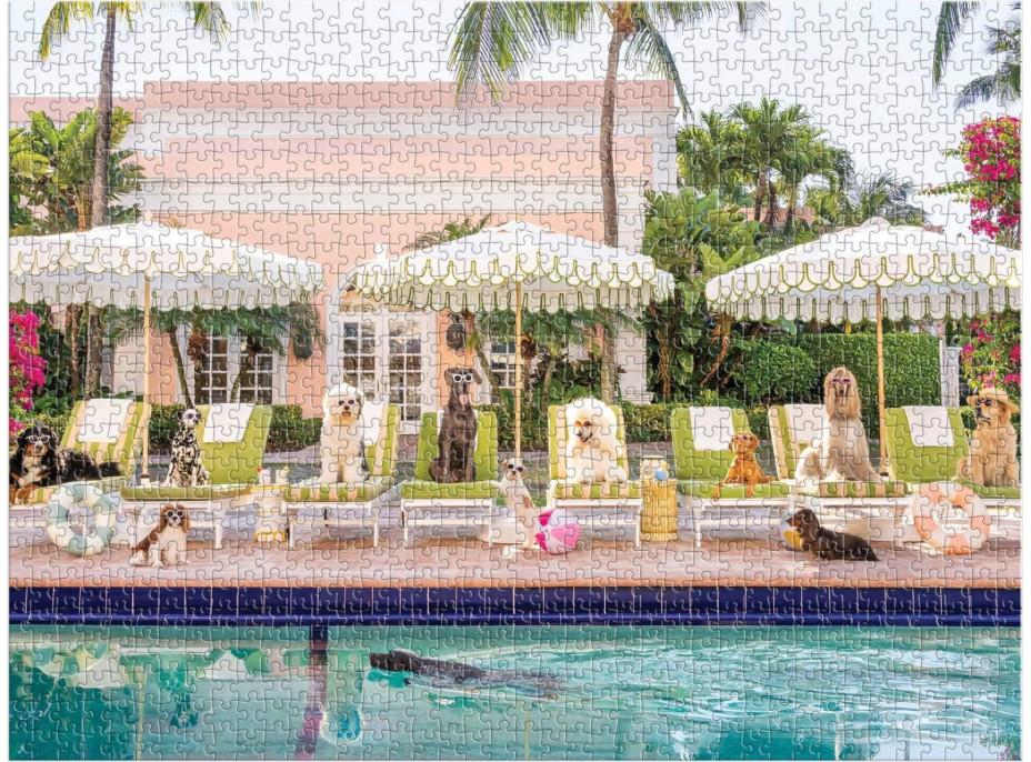 GALISON Puzzle Pri bazéne v Palm Beach 1000 dielikov