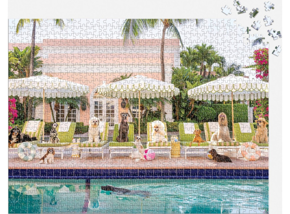 GALISON Puzzle Pri bazéne v Palm Beach 1000 dielikov