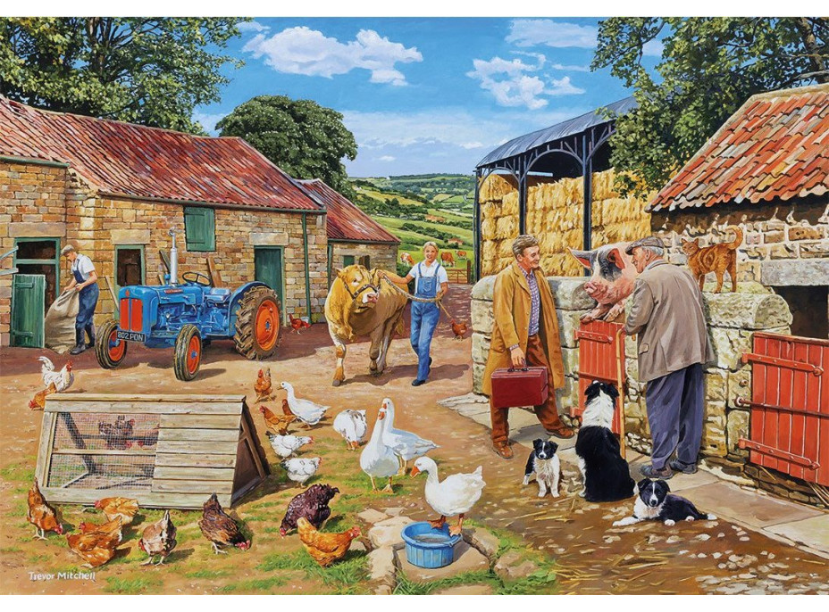 GIBSONS Puzzle Zavolajte veterinára 4x500 dielikov
