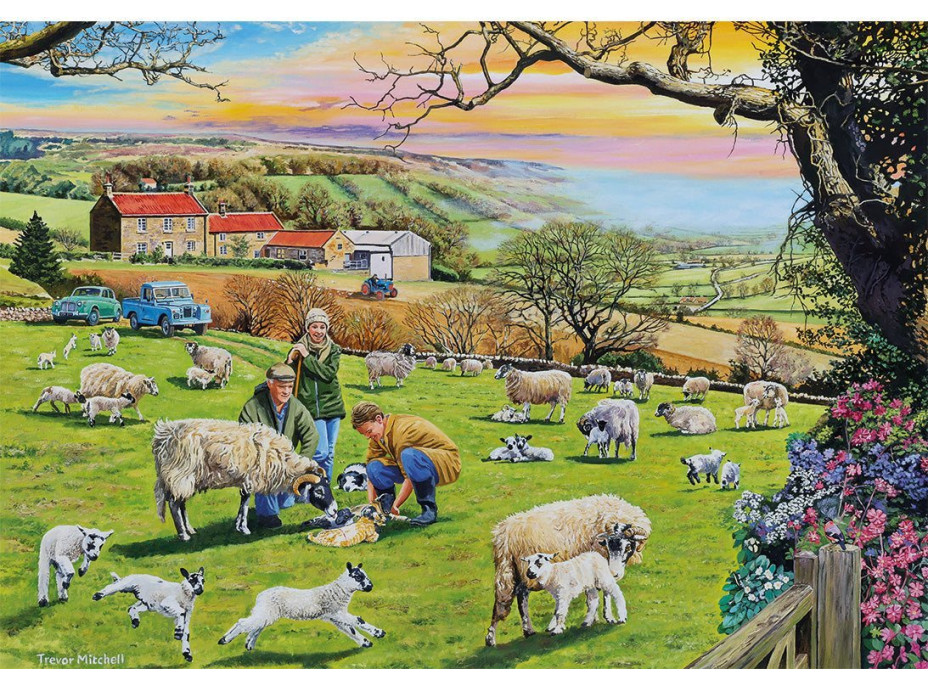 GIBSONS Puzzle Zavolajte veterinára 4x500 dielikov
