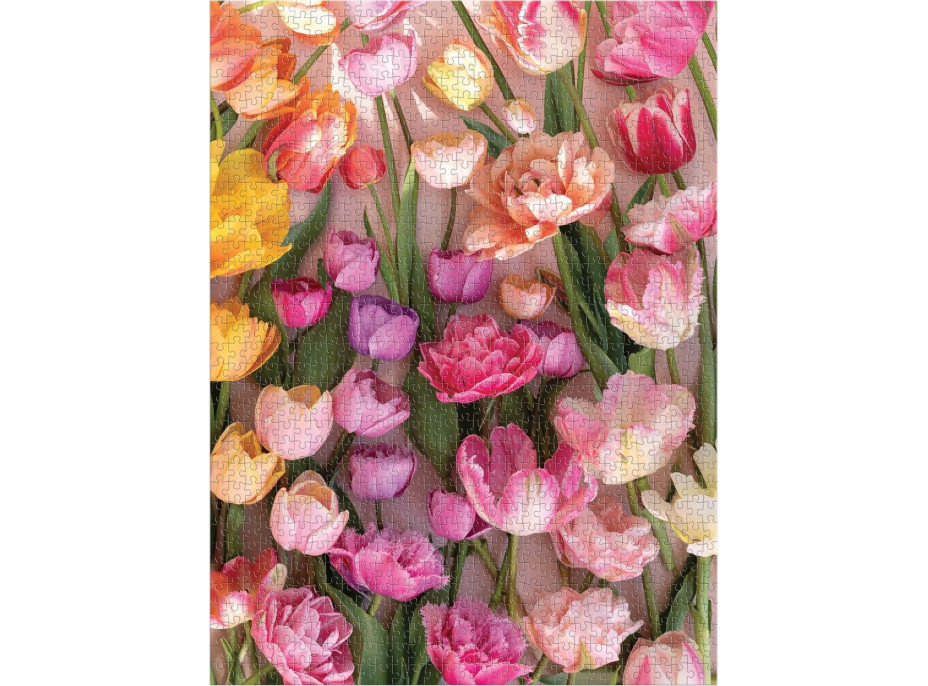 GALISON Puzzle Pominuteľné tulipány 1000 dielikov