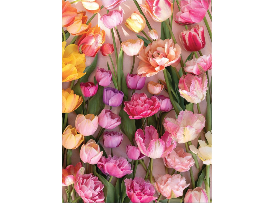 GALISON Puzzle Pominuteľné tulipány 1000 dielikov